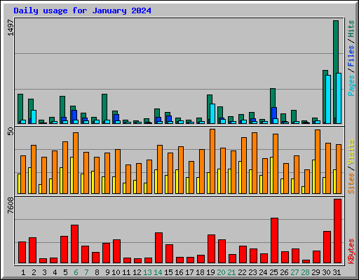 Daily usage for January 2024