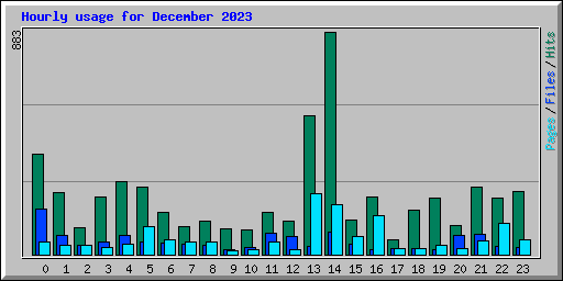 Hourly usage for December 2023