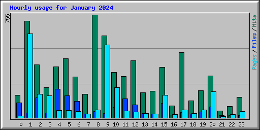 Hourly usage for January 2024