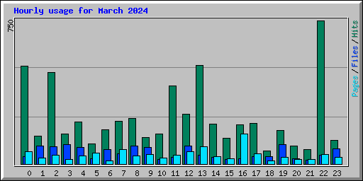 Hourly usage for March 2024