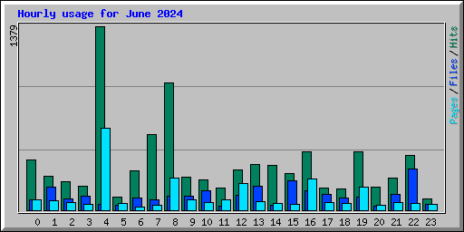 Hourly usage for June 2024
