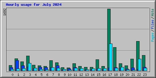 Hourly usage for July 2024